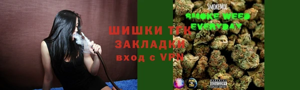 стафф Верхний Тагил